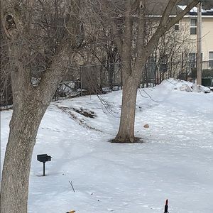 Meet your Posher, Rita